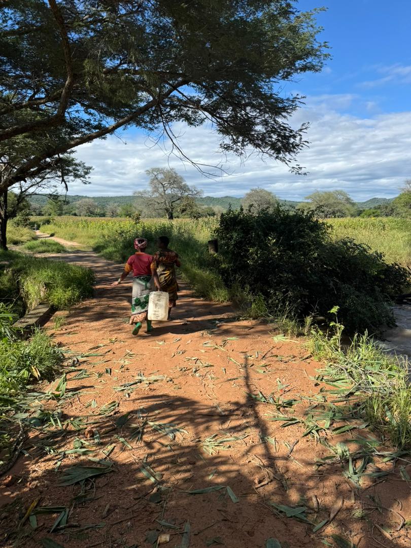 Community fieldwork